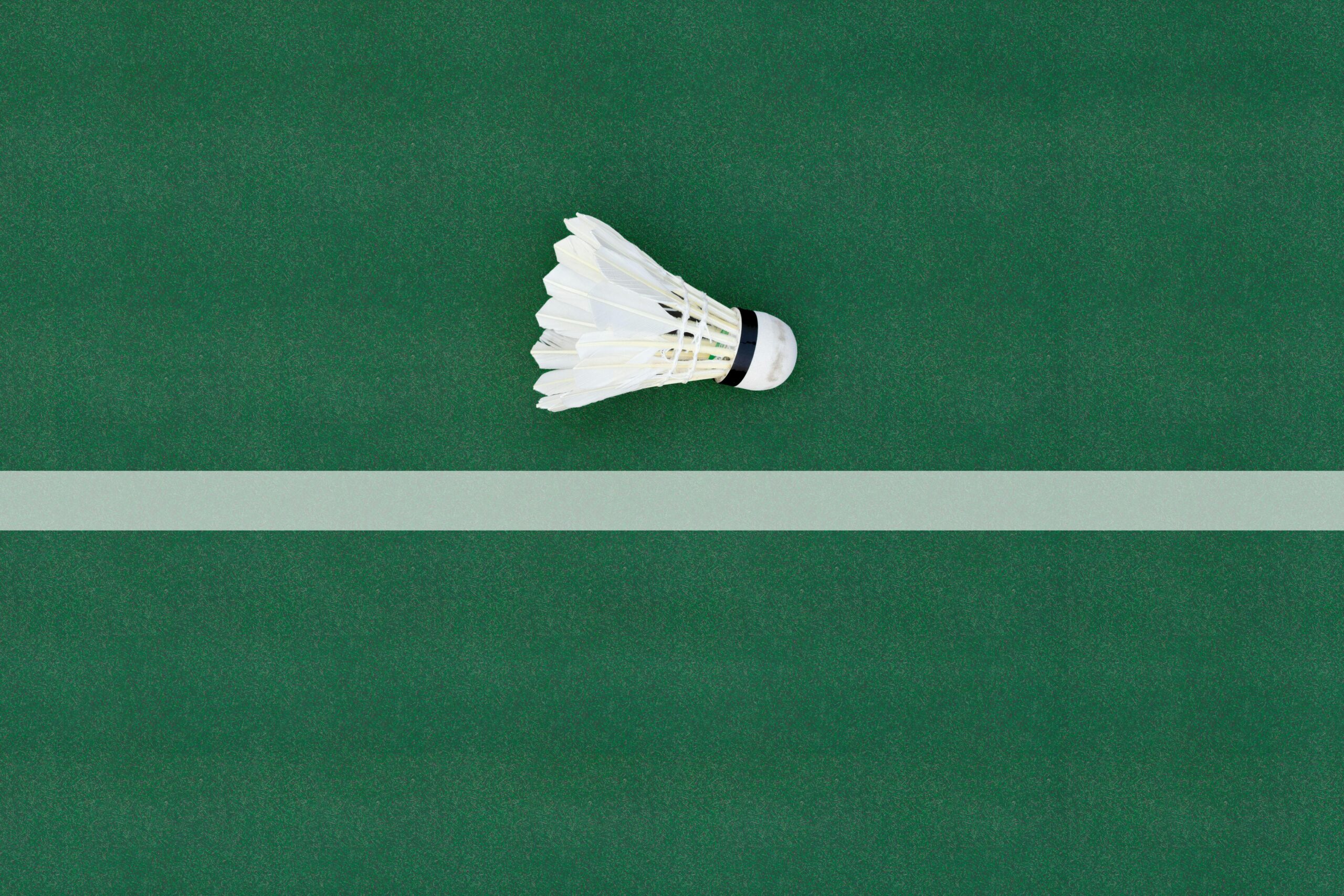 Badminton & Sports Courts